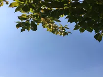 重生之三王妃不好惹