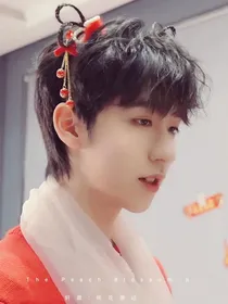 轩霖：桃花源记