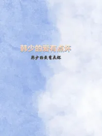 韩少的爱有点坏
