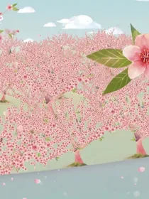 昙花修仙之旅