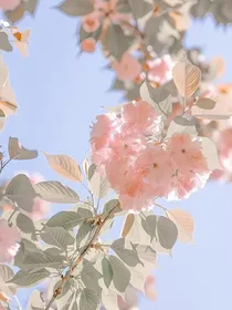 叶罗丽：坠入月光