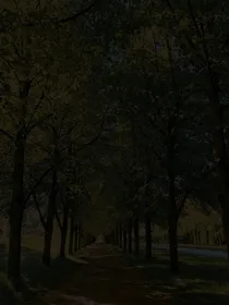 闹鬼的小路