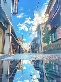 叶罗丽之水皇牢笼