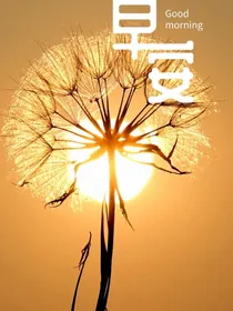 女生日记3