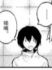 在文豪野犬里玩组织斗争