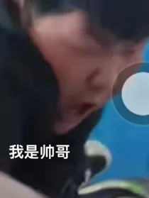 暗珑历险只因