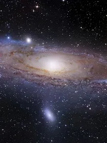 细胞宇宙