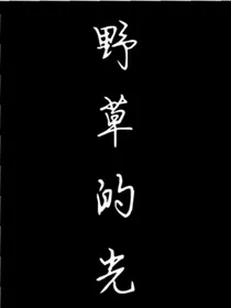 野草的光随笔