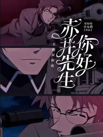 名侦探柯南：你好，赤井先生