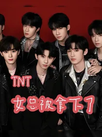TNT：爱上女boss