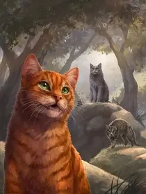 猫武士之星光之战