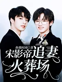 宋影帝追妻火葬场