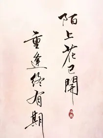 魔道同人：天衍四九