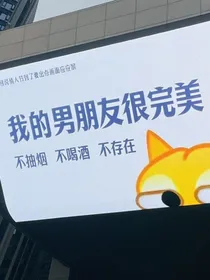 我的男朋友很完美