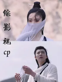 综影视cp
