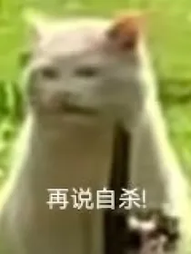 全明星：宿主她又甜又拽