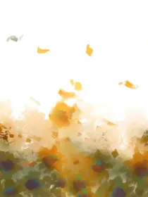 梦幻联动：平凡之路