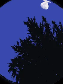 晚亭