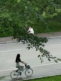 懵懂无知的少年时代