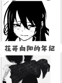 向阳花开的年纪