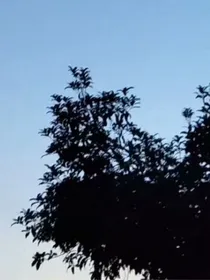 永眠伊甸