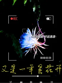 又是一年昙花开