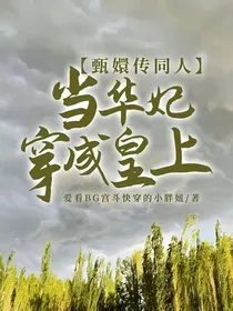 甄嬛传同人：当华妃穿成皇上