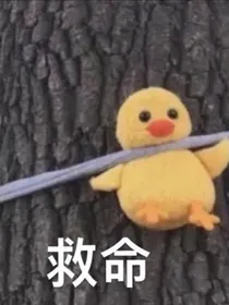 穿越凹凸之妖
