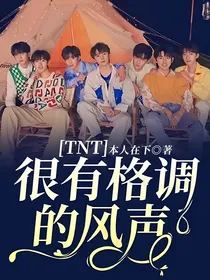 TNT：很有格调的风声