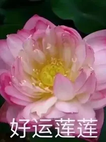 非碳基生物的日志