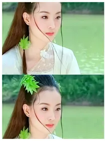 综影漫白莲的轮回之旅