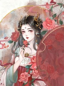 综影视之美人如花