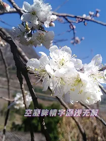 月关重生