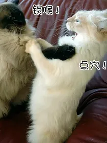快穿：恶毒女配表示很垃圾