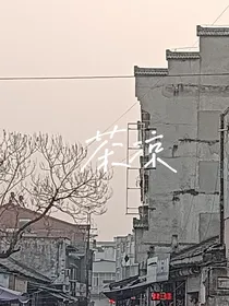 Cha茶凉