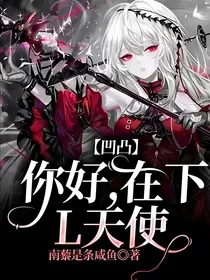 凹凸：你好，在下L天使