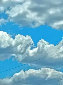 各种团宠