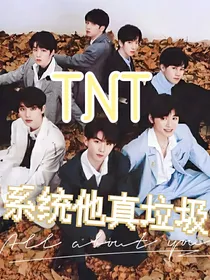 TNT：系统他真垃圾
