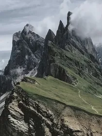 陈情观影预知未来