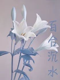 百合沉水