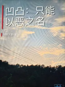 凹凸：只能以恶之名