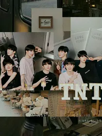 TNT所谓的攻略