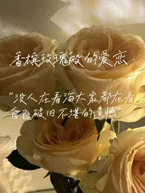 香槟玫瑰般的爱恋