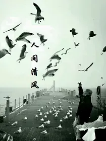 人间清风