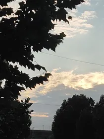 真实记录日记