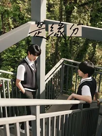 苏朱：是缘分