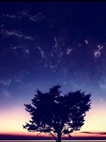 斗龙：星尘大海