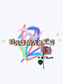 叶先生的先婚后爱