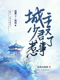 城主，少君又惹事了