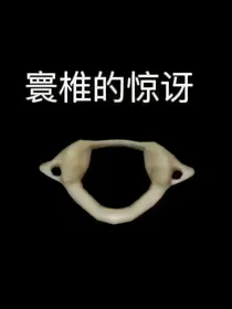 小故事收集处